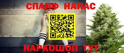 МДПВ Рыбинск