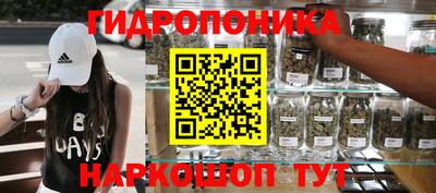 крисы Рязань