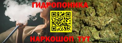 крисы Рязань