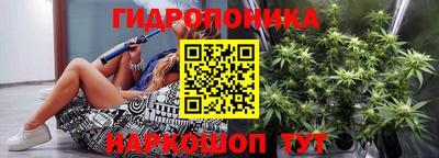 крисы Рязань