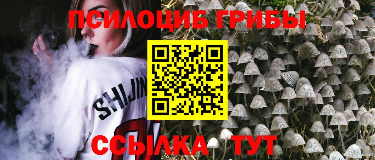 Псилоцибиновые грибы MAGIC MUSHROOMS Прохладный