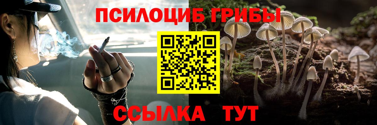 Прохладный  Галлюциногенные грибы Psilocybine cubensis  Вход с VPN 